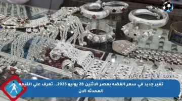 تغير جديد في سعر الفضة بمصر الاثنين 28 يوليو 2025.. تعرف على القيمة المحدثة الآن